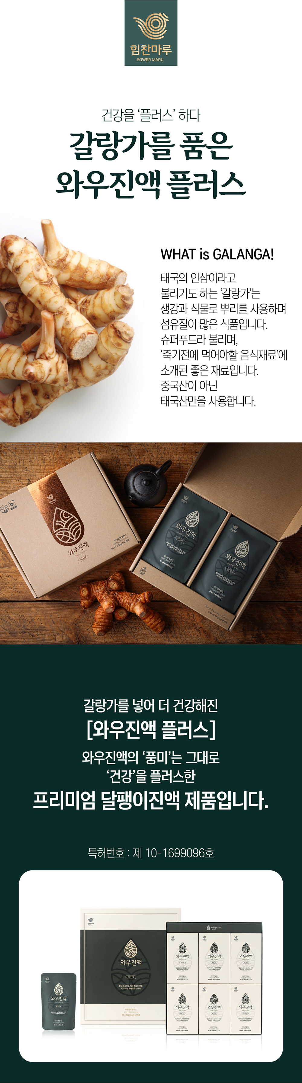 03_갈랑가 품은 와우.jpg